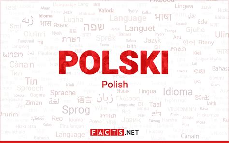 pl.pornhub|Porno polish